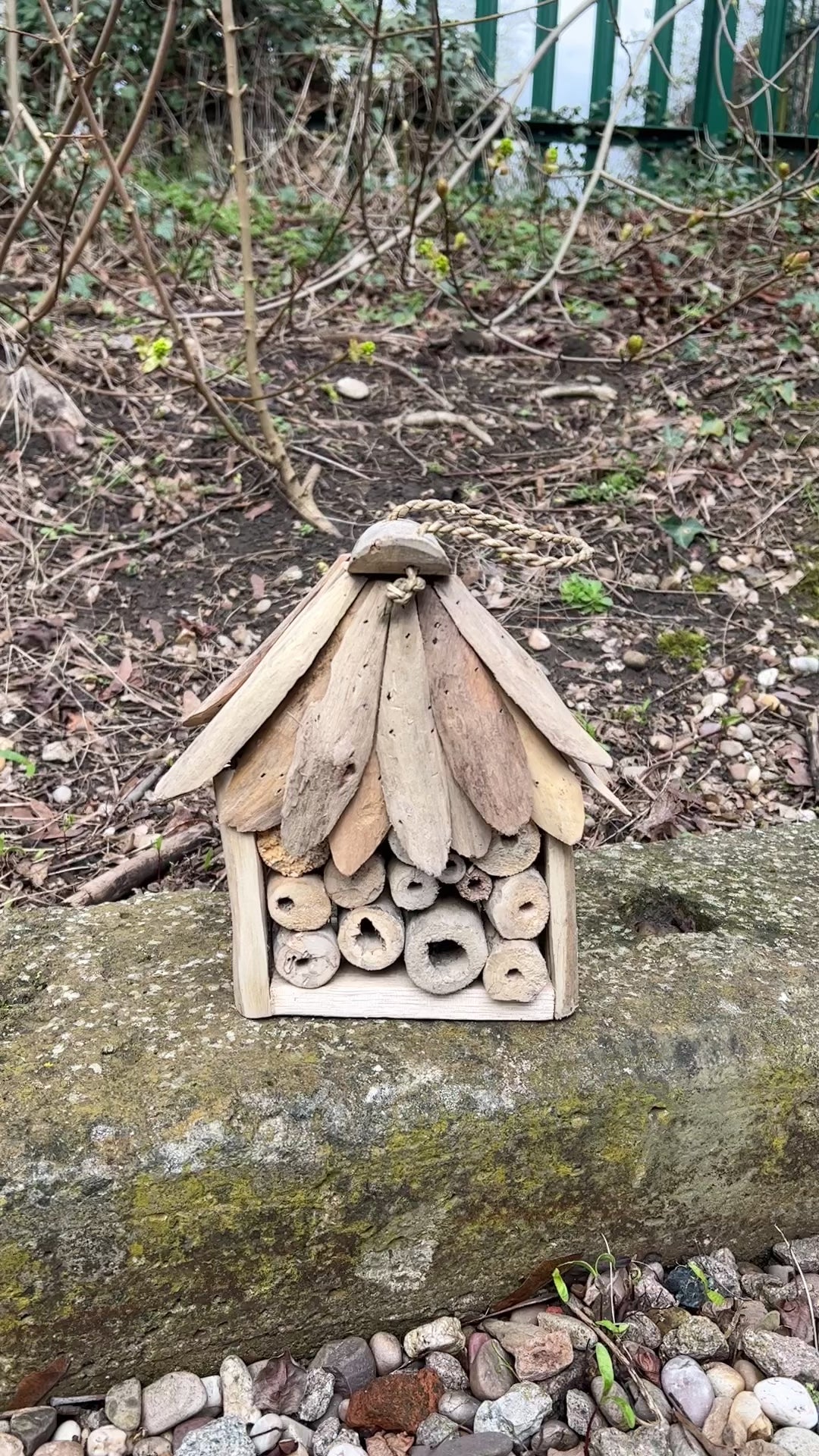 Driftwood Insect Hotel